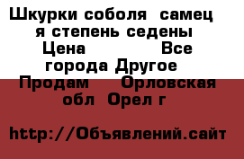 Шкурки соболя (самец) 1-я степень седены › Цена ­ 12 000 - Все города Другое » Продам   . Орловская обл.,Орел г.